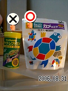 060831_2156~0001.jpg
