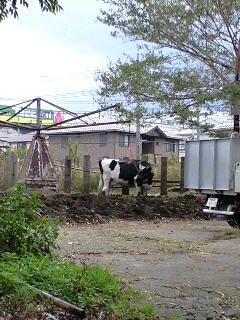 091101_1527~0001.jpg