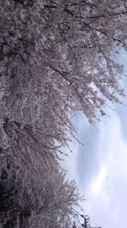 華