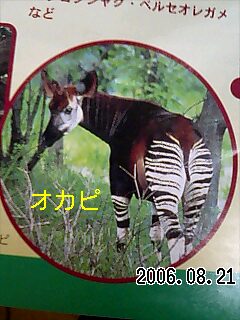 060821_1344~0001.jpg