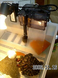 061116_2000~0001.jpg