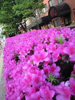 100509_1655~0001.jpg