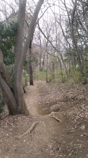 山道