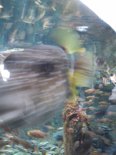 江ノ島水族館